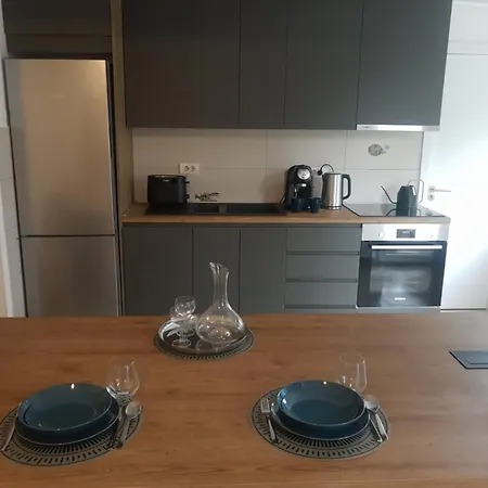 Apartment Tesla Time Machins 2bedrooms & Living Novi Sad